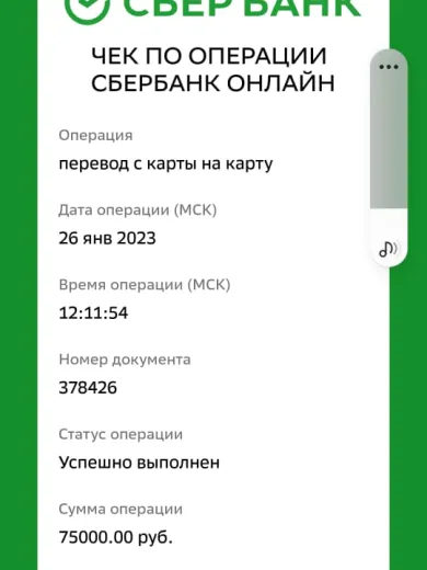 Проститутка Вика - Фото 3 №62119